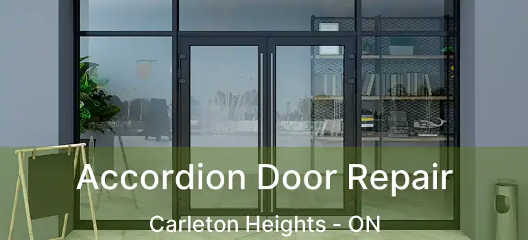  Accordion Door Repair Carleton Heights - ON