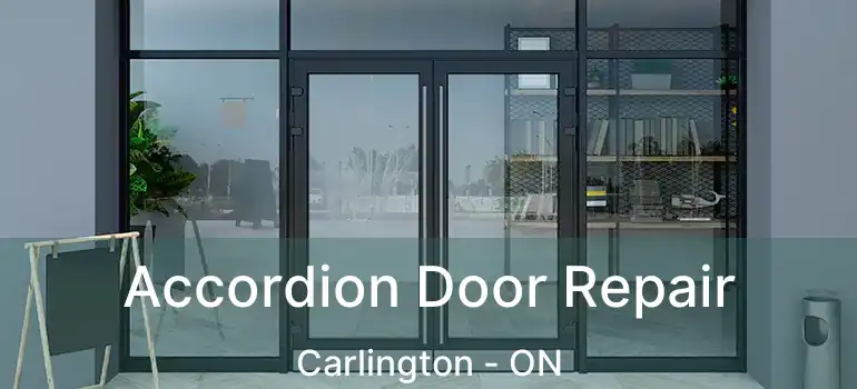  Accordion Door Repair Carlington - ON