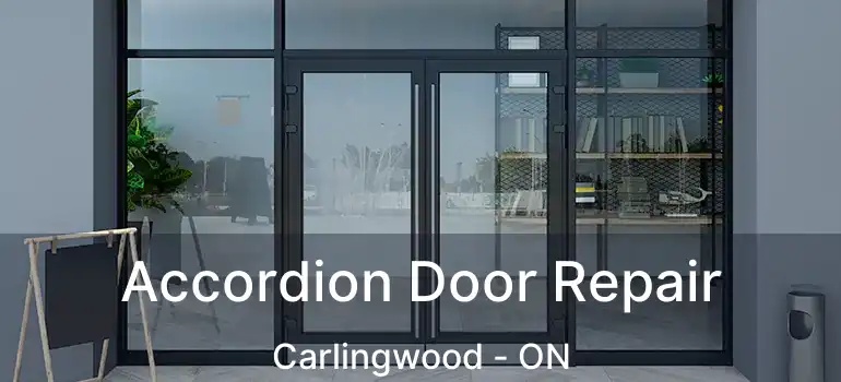  Accordion Door Repair Carlingwood - ON