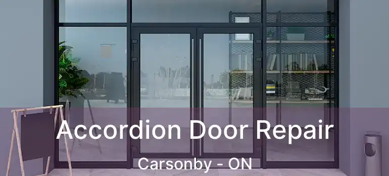  Accordion Door Repair Carsonby - ON