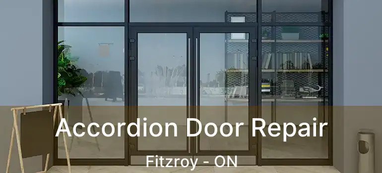  Accordion Door Repair Fitzroy - ON