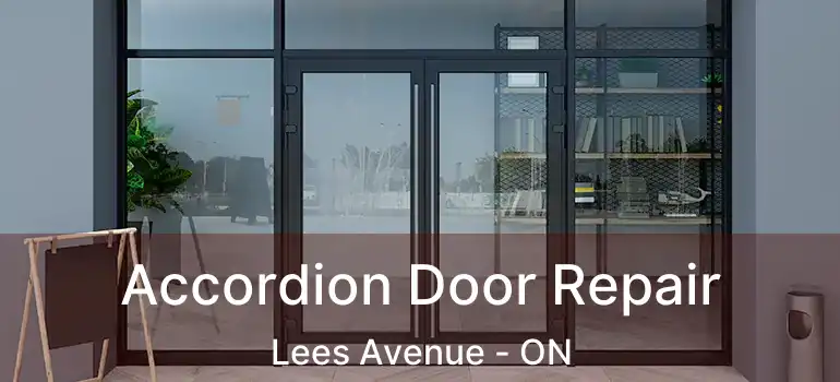  Accordion Door Repair Lees Avenue - ON