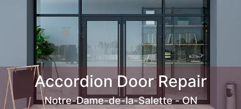  Accordion Door Repair Notre-Dame-de-la-Salette - ON