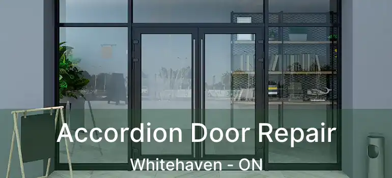  Accordion Door Repair Whitehaven - ON