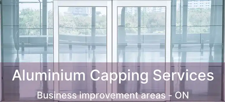  Aluminium Capping Services Business improvement areas - ON