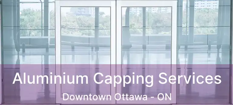  Aluminium Capping Services Downtown Ottawa - ON