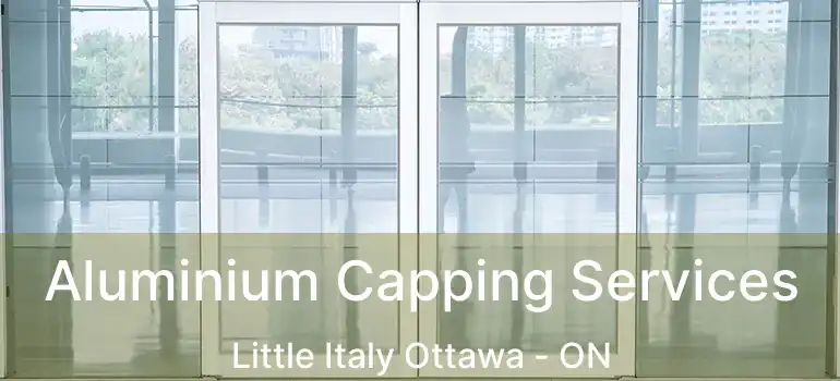  Aluminium Capping Services Little Italy Ottawa - ON