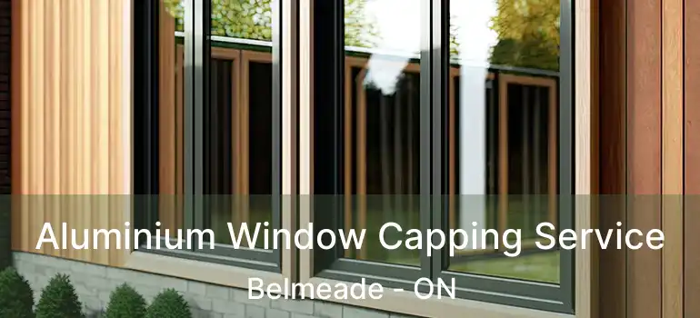  Aluminium Window Capping Service Belmeade - ON