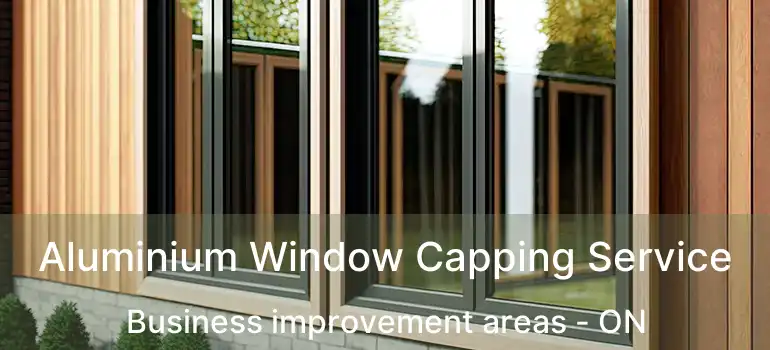  Aluminium Window Capping Service Business improvement areas - ON