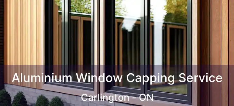  Aluminium Window Capping Service Carlington - ON