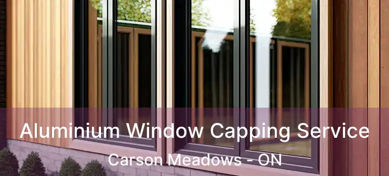  Aluminium Window Capping Service Carson Meadows - ON