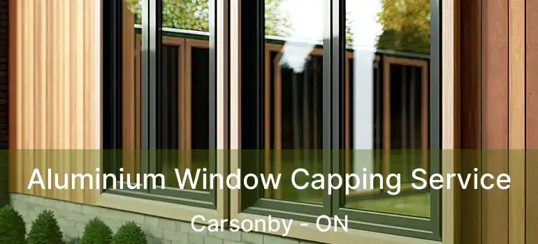  Aluminium Window Capping Service Carsonby - ON