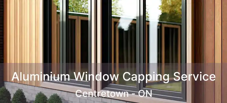  Aluminium Window Capping Service Centretown - ON