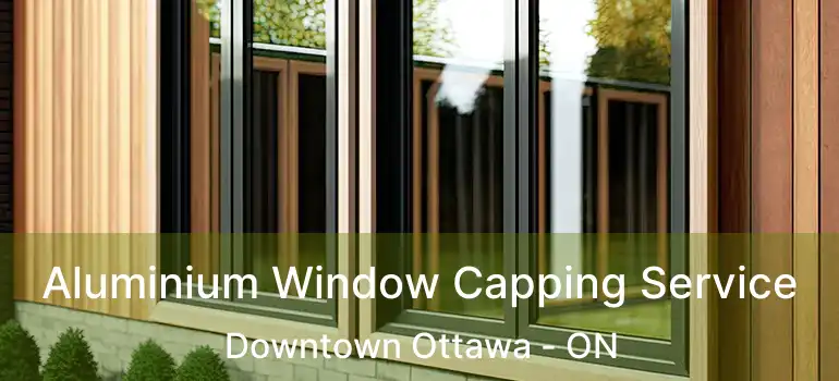  Aluminium Window Capping Service Downtown Ottawa - ON