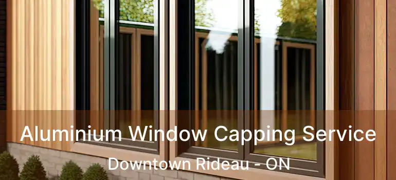  Aluminium Window Capping Service Downtown Rideau - ON