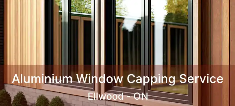  Aluminium Window Capping Service Ellwood - ON