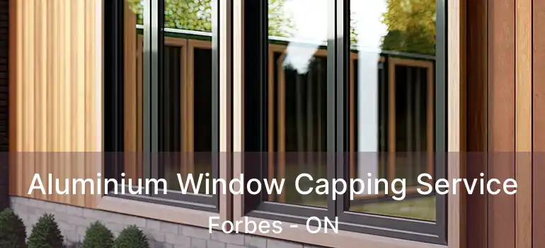  Aluminium Window Capping Service Forbes - ON