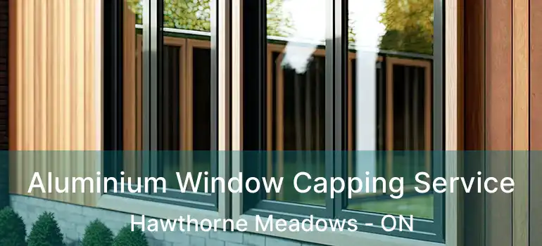  Aluminium Window Capping Service Hawthorne Meadows - ON