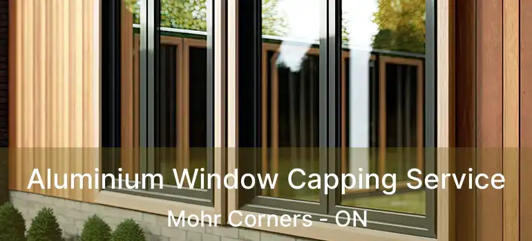  Aluminium Window Capping Service Mohr Corners - ON