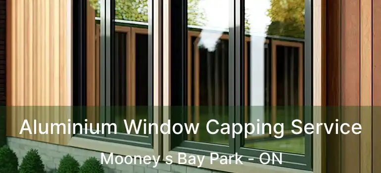  Aluminium Window Capping Service Mooney s Bay Park - ON