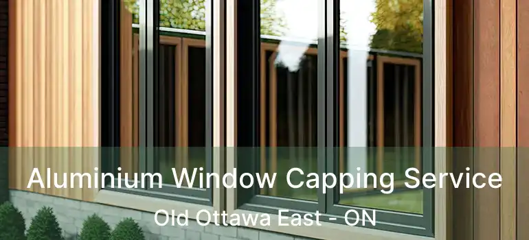  Aluminium Window Capping Service Old Ottawa East - ON