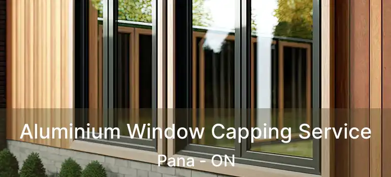  Aluminium Window Capping Service Pana - ON