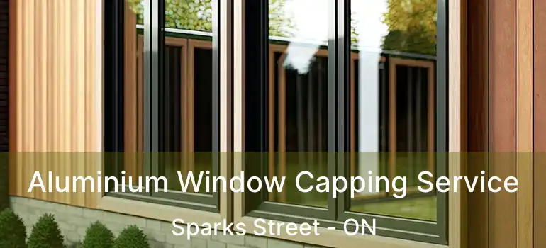  Aluminium Window Capping Service Sparks Street - ON