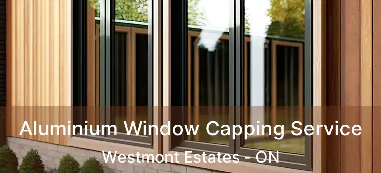  Aluminium Window Capping Service Westmont Estates - ON