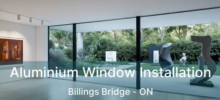  Aluminium Window Installation Billings Bridge - ON