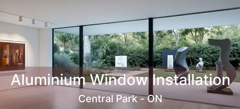  Aluminium Window Installation Central Park - ON