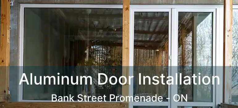  Aluminum Door Installation Bank Street Promenade - ON