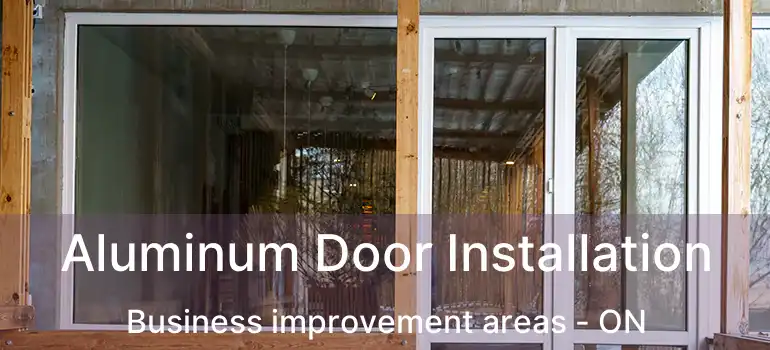  Aluminum Door Installation Business improvement areas - ON