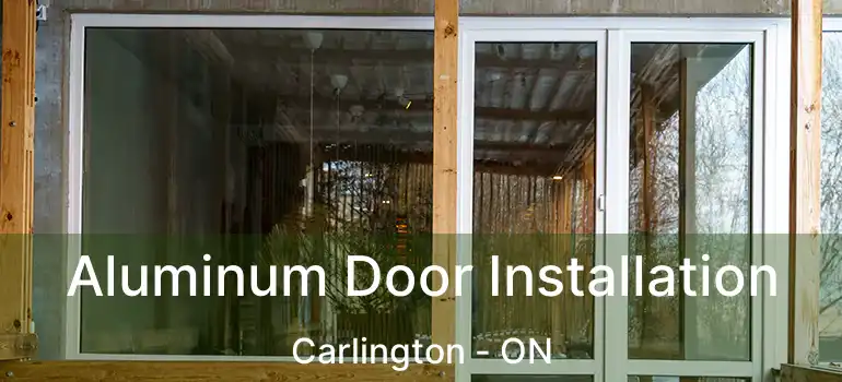  Aluminum Door Installation Carlington - ON