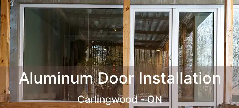  Aluminum Door Installation Carlingwood - ON