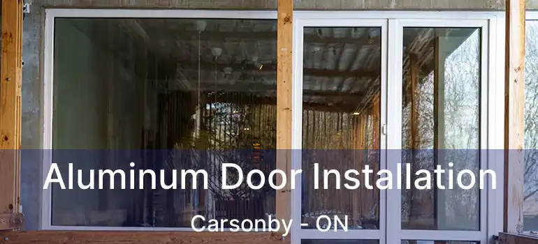  Aluminum Door Installation Carsonby - ON