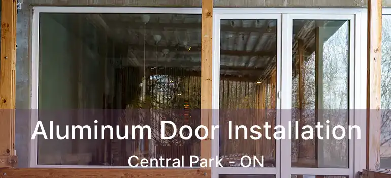  Aluminum Door Installation Central Park - ON