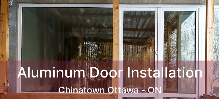  Aluminum Door Installation Chinatown Ottawa - ON