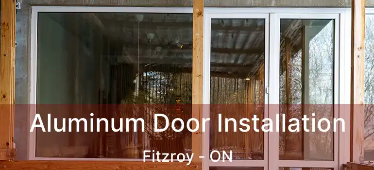  Aluminum Door Installation Fitzroy - ON