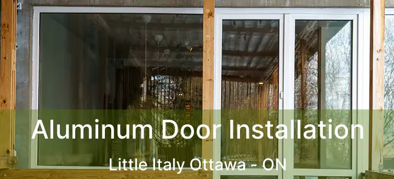  Aluminum Door Installation Little Italy Ottawa - ON