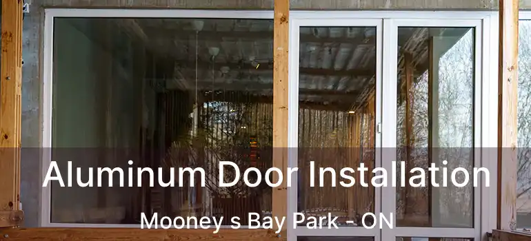  Aluminum Door Installation Mooney s Bay Park - ON