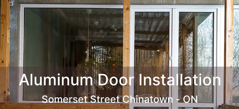  Aluminum Door Installation Somerset Street Chinatown - ON