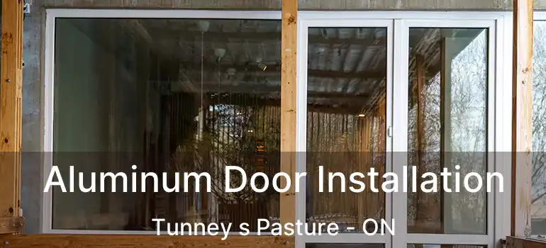  Aluminum Door Installation Tunney s Pasture - ON