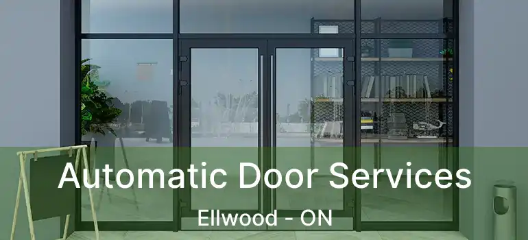  Automatic Door Services Ellwood - ON