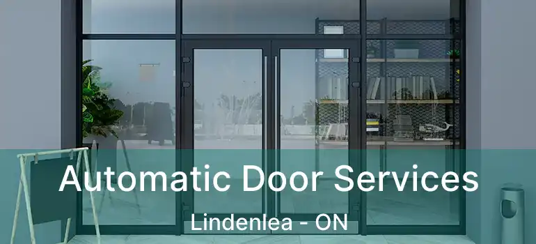  Automatic Door Services Lindenlea - ON