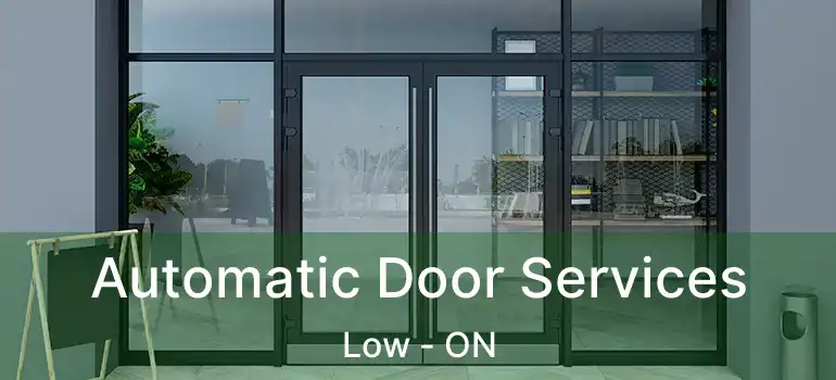  Automatic Door Services Low - ON