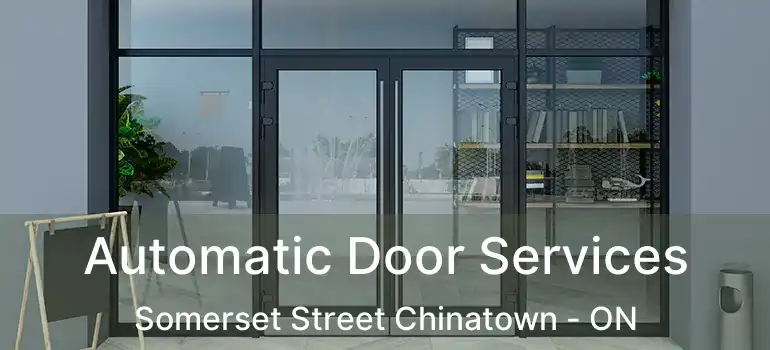  Automatic Door Services Somerset Street Chinatown - ON