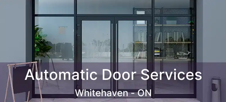  Automatic Door Services Whitehaven - ON