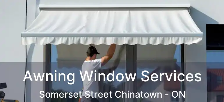  Awning Window Services Somerset Street Chinatown - ON