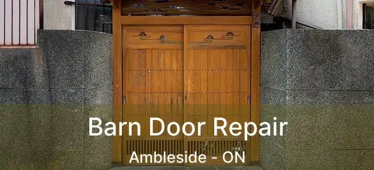  Barn Door Repair Ambleside - ON