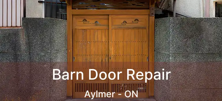  Barn Door Repair Aylmer - ON